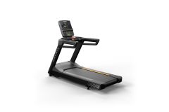 Беговая дорожка Endurance с консолью Premium LED T-ES-F/PLED-C